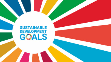 De sustainable development goals