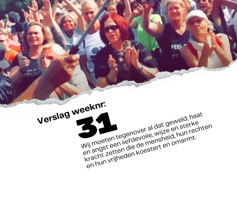 Verslag weeknummer 31